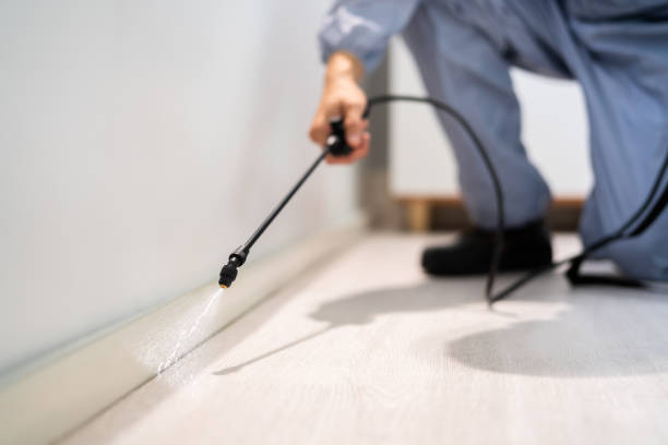 Rodent Entry Point Assessment in Honolulu