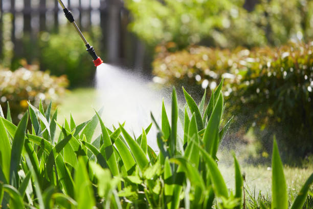 Tamper-Resistant Bait Stations for Rodents in Honolulu